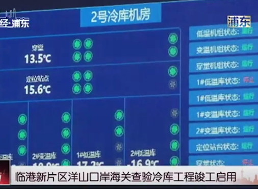 上海临港新片区洋山口岸海关查验冷库工程竣工启用